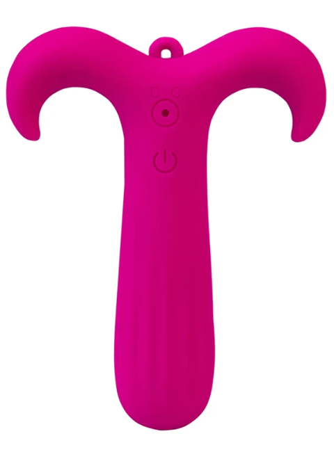 Aries Mini Vibe