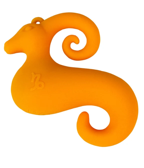 Capricorn Mini Vibe
